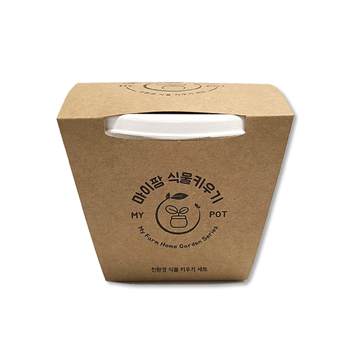 친환경 봉선화 키우기