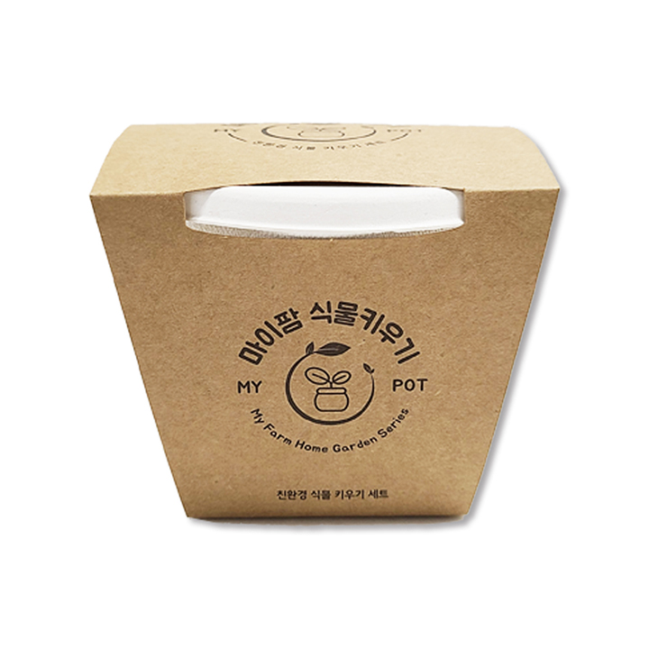 친환경 상추 키우기